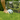 Soccer Ball