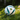 Soccer Ball